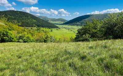 PIANI DI MONTELAGO – MONTE IGNO